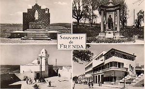 Frenda 19